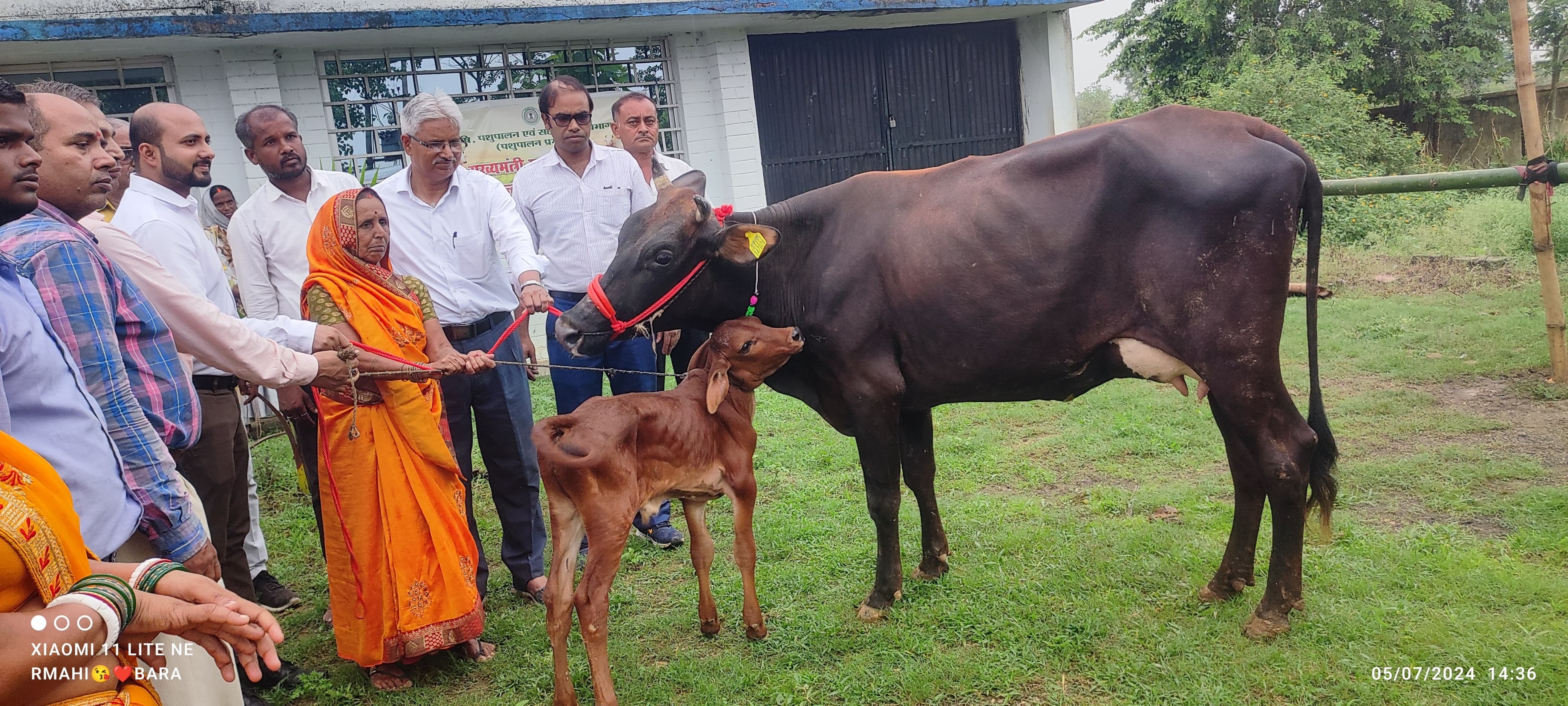 Directorate of Animal Husbandry