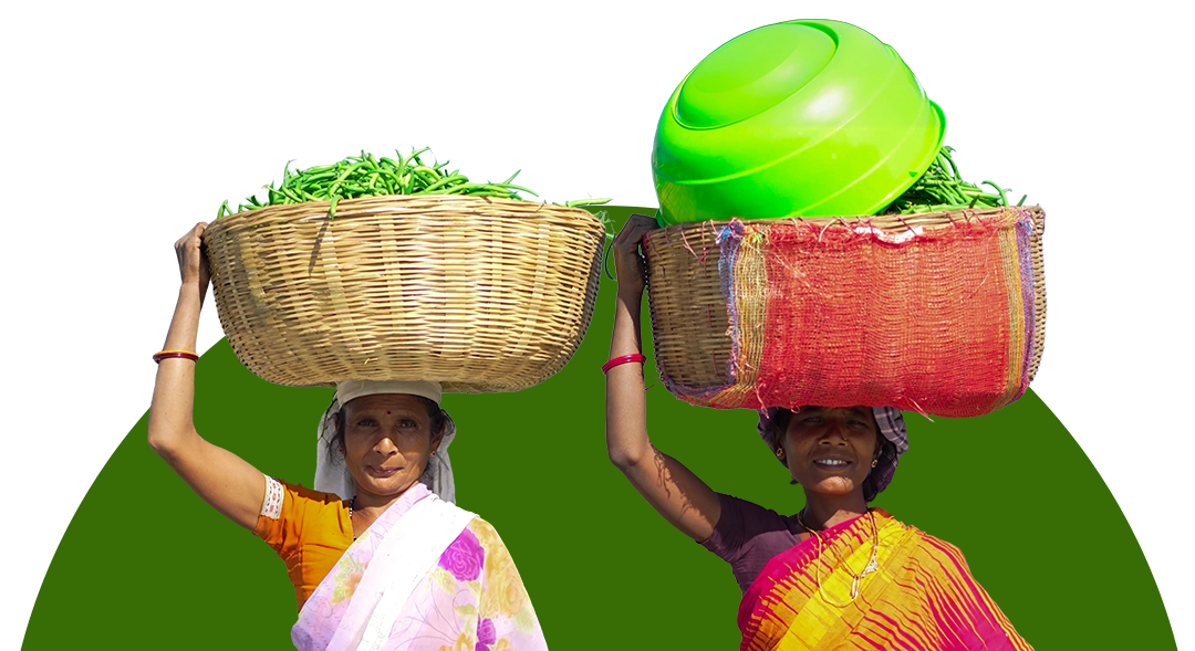 Jharkhand Farmers with Harvest